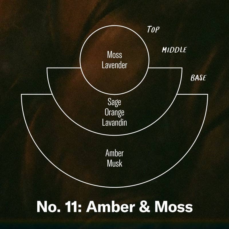 P.F. Candle Co. - Amber & Moss - Large Candle