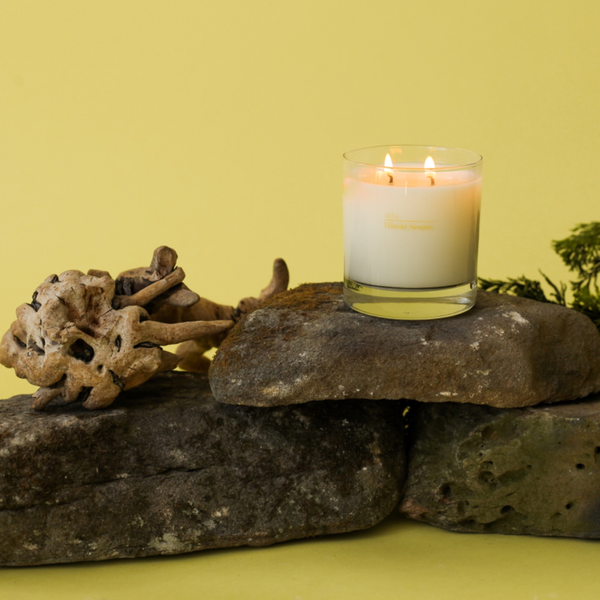 dilo - HINOKI SESAME CANDLE