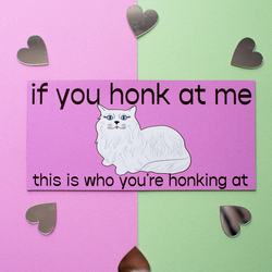 If You Honk Car Magnet